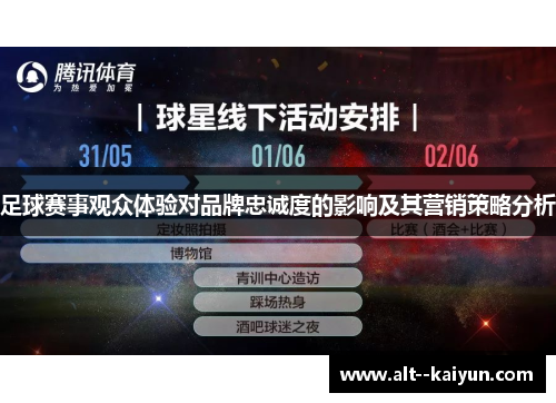 足球赛事观众体验对品牌忠诚度的影响及其营销策略分析